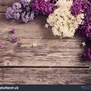 stock-photo-the-beautiful-lilac-on-a-wooden-background-195597305
