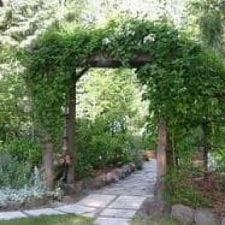 pergola