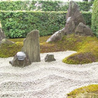 suhoi-ruchei 12 suhoi-ruchei 12